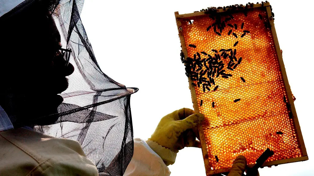 34mx0515-jpg8985421514066362161