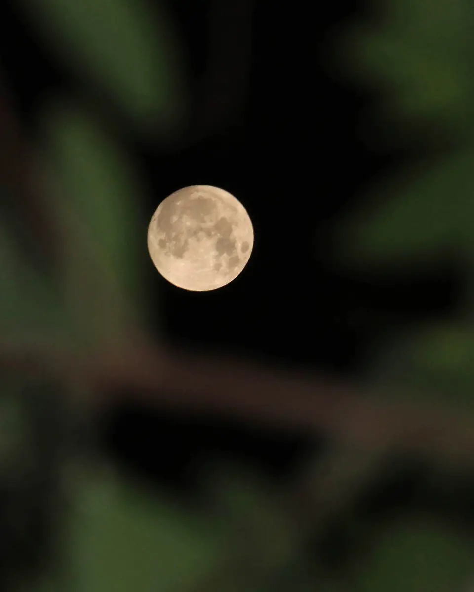 34lv3436-jpg955267642289325564