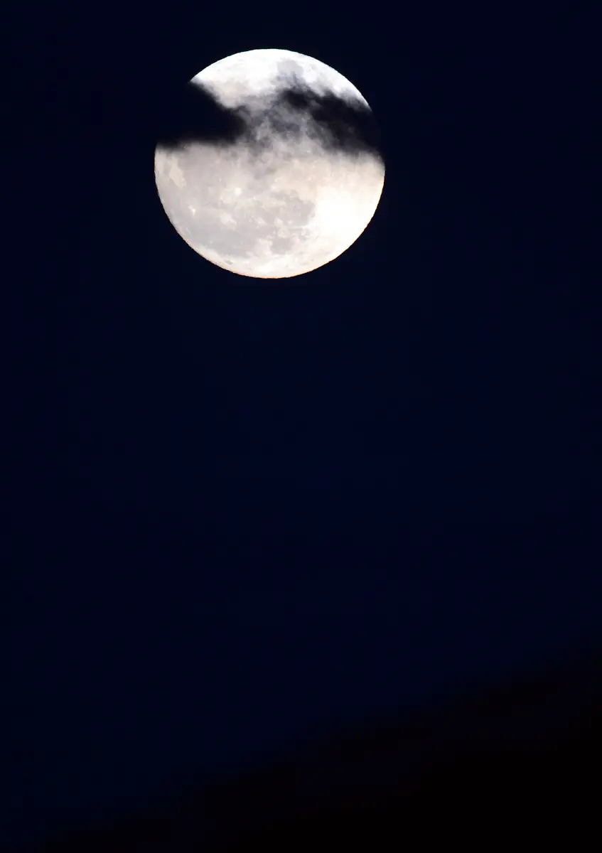 34lx5136-jpg1957527379725694223