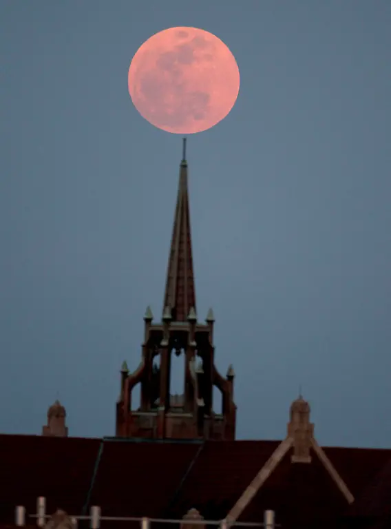 DAB0806-20120506-jpg3232661788316497658