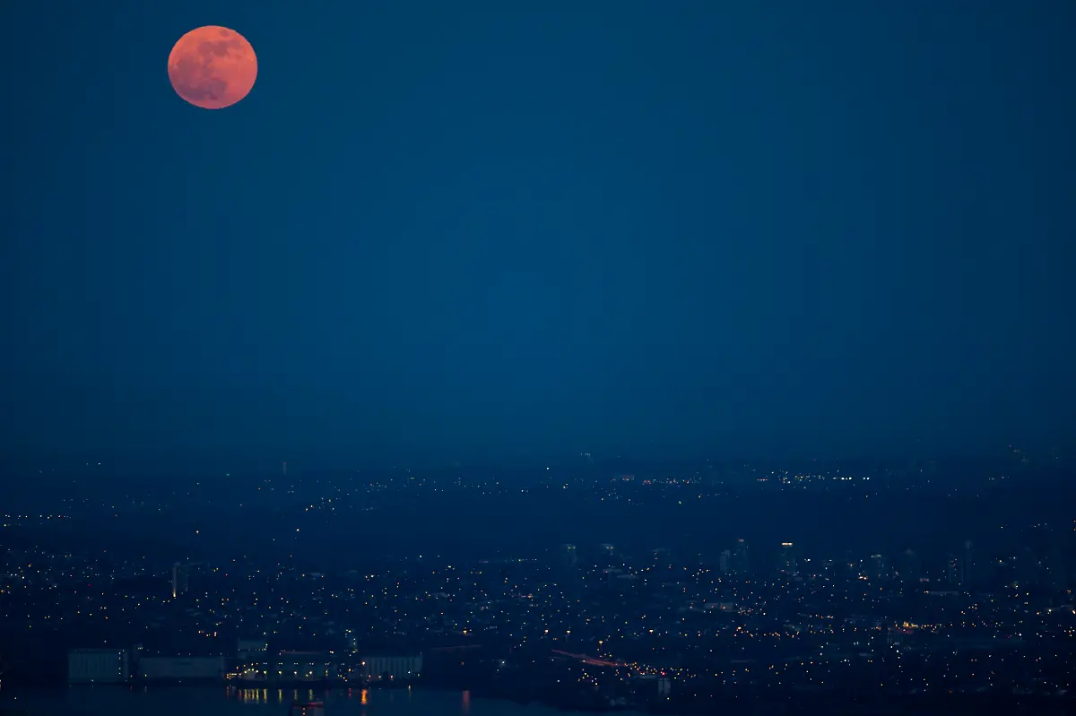 DAB1159-20120506-jpg3810550384454024542