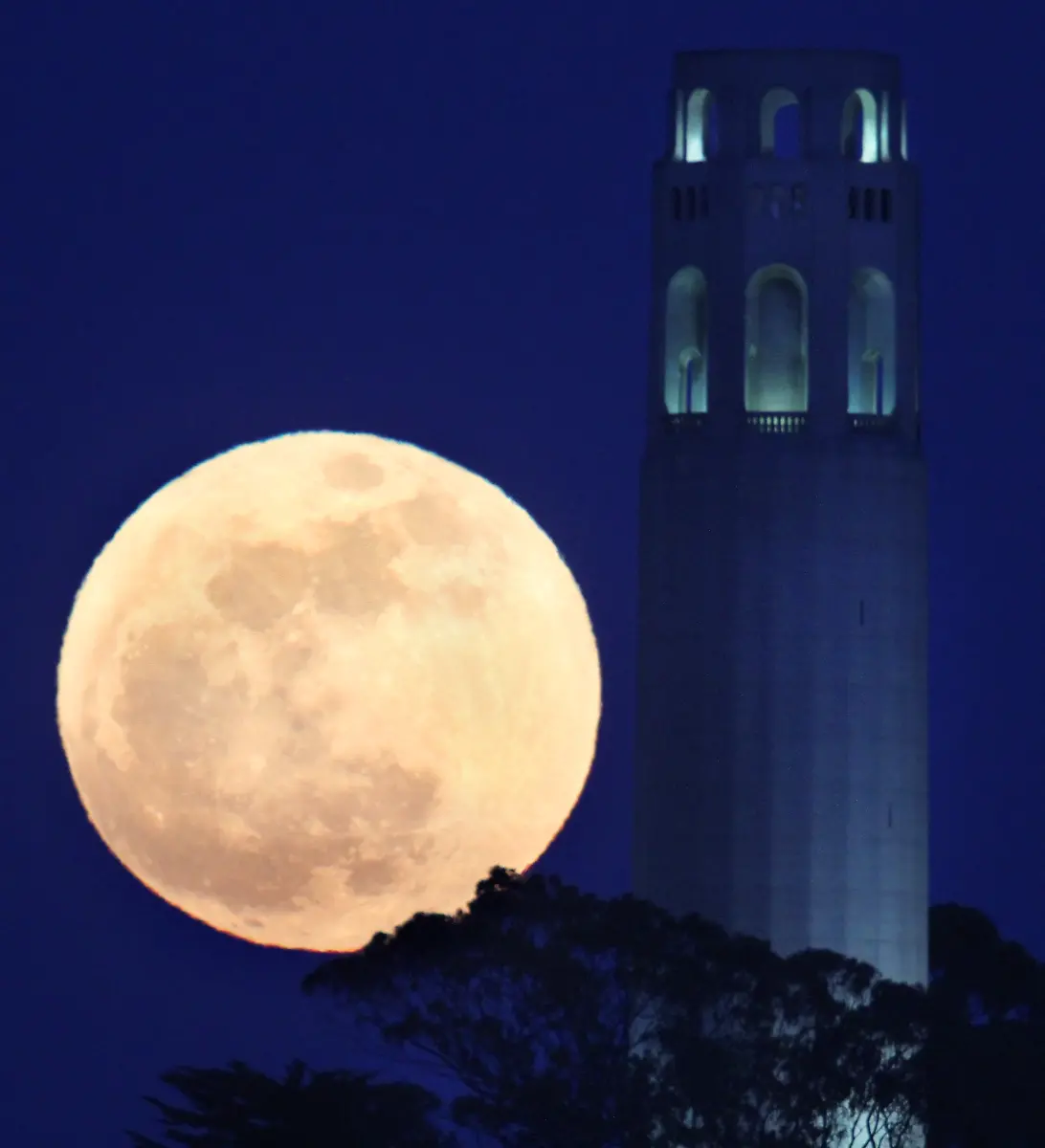 DAB1198-20120506-jpg2114573871470425805