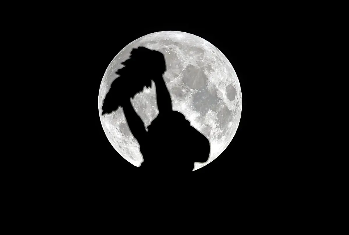 34mf5421-jpg1589507650808723969