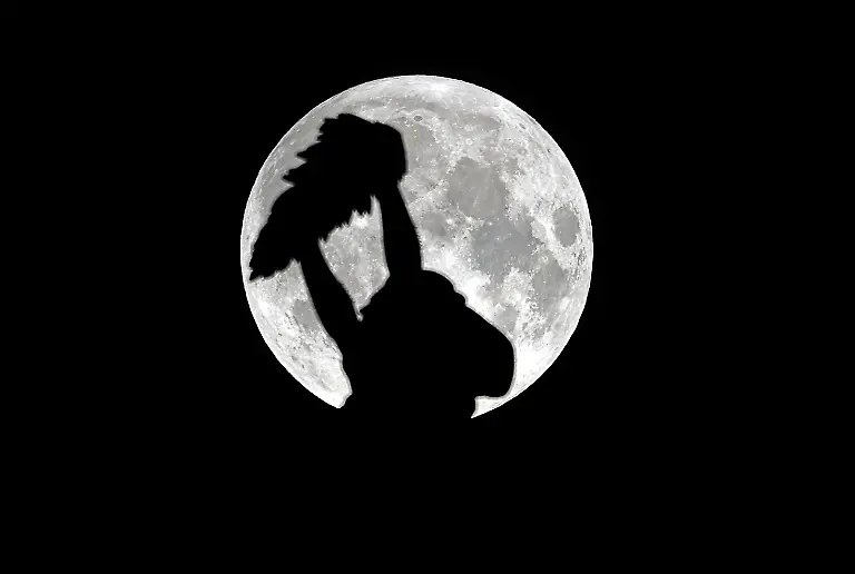 34mf5421-jpg1589507650808723969