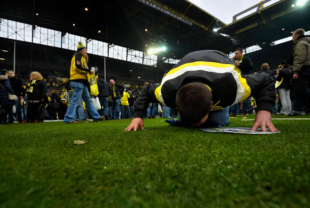 DI30046-20120506-jpg9215303371469167690