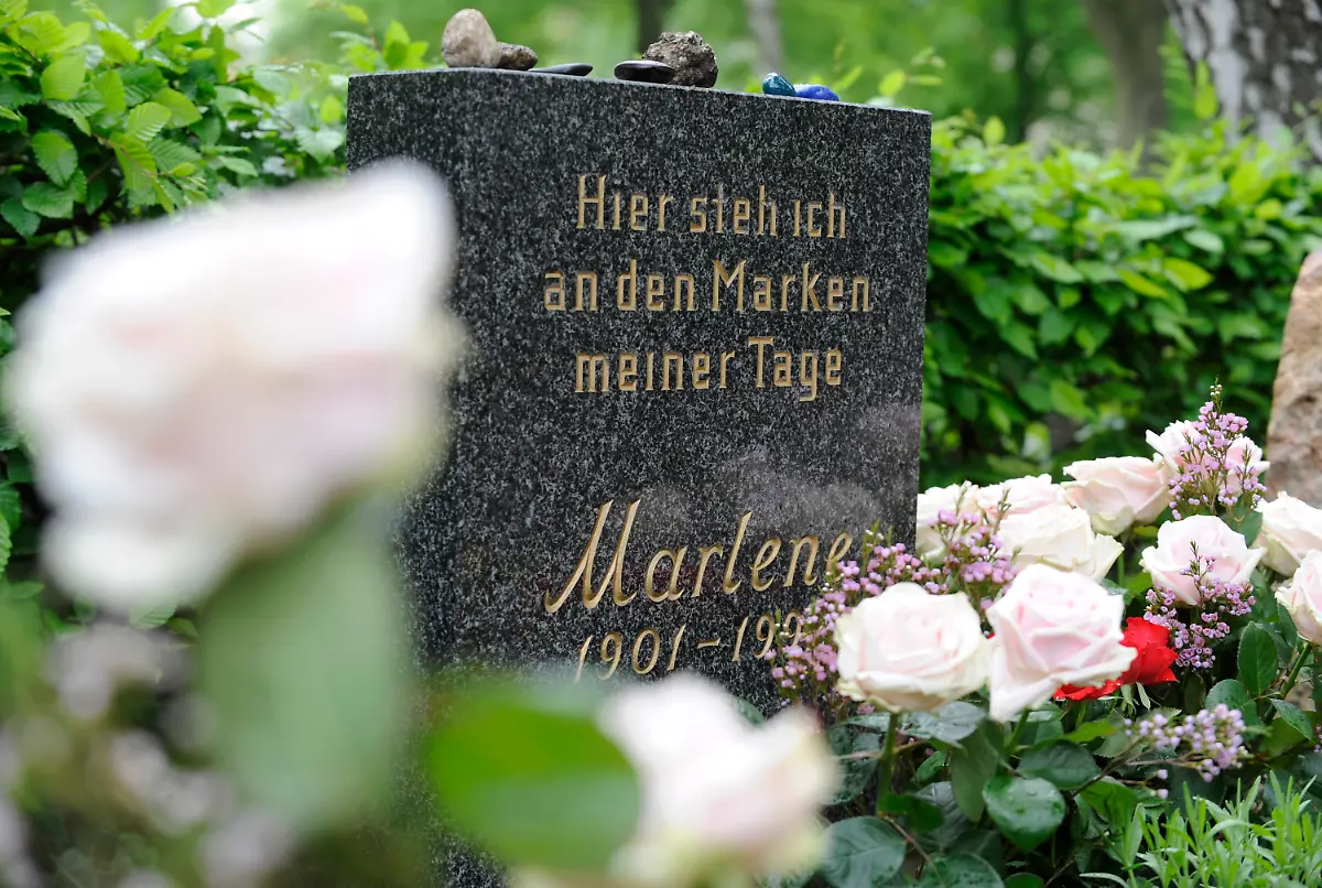 DI30152-20120503-jpg4576006150145567788