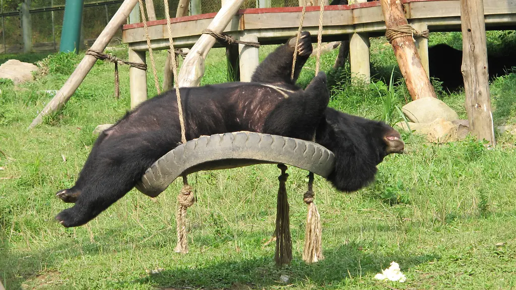 34e50230-jpg2905002277063654199