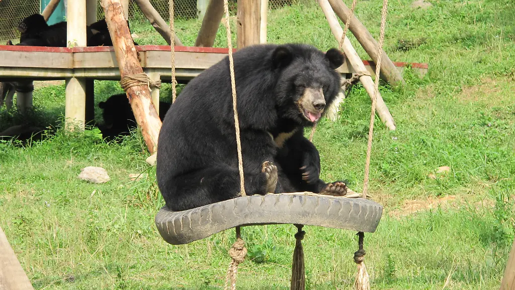 34e50234-jpg319227390893316879