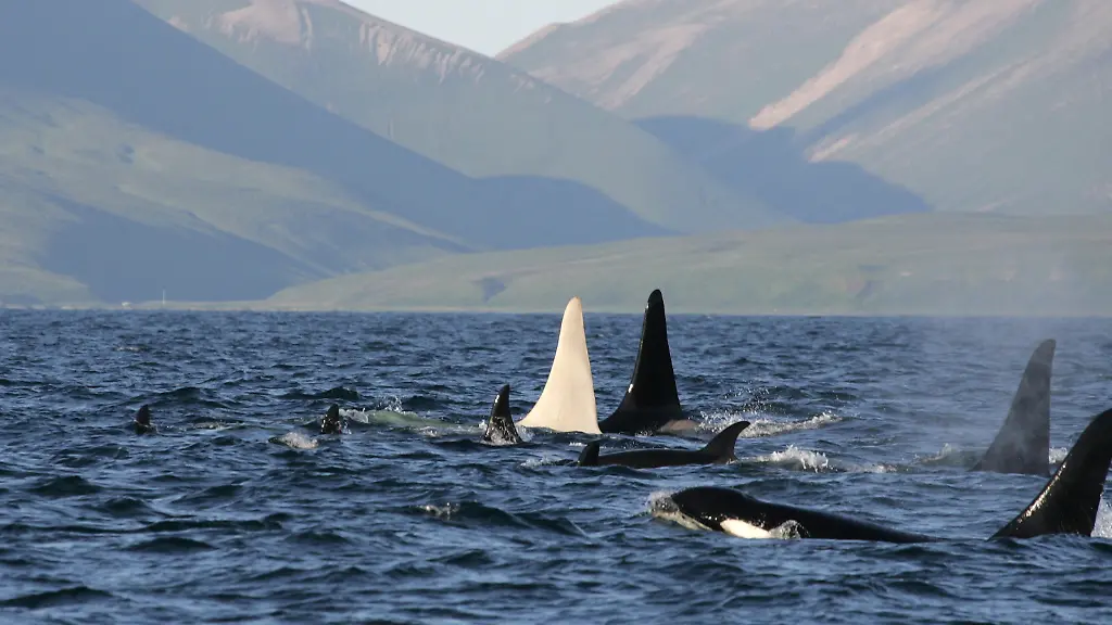 34c50504-jpg1673179881312652492