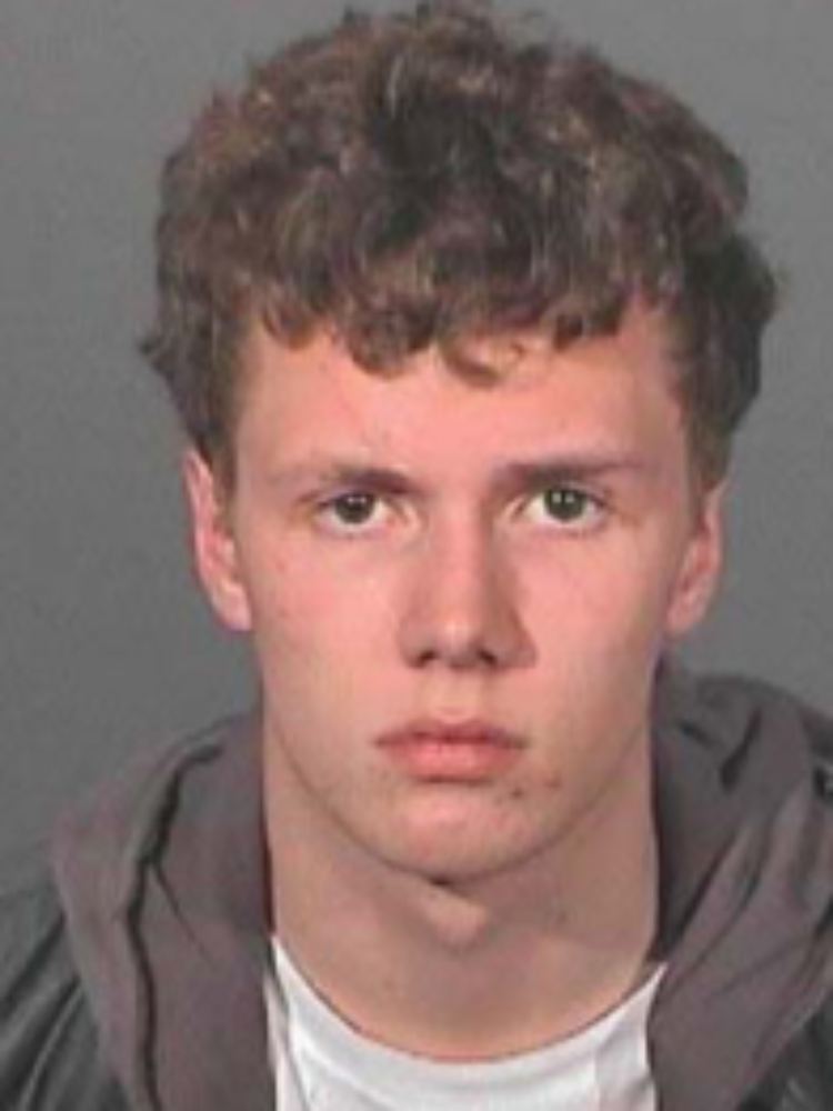 Das eine oder andere Polizeifoto gibt es schon von Barron Hilton.