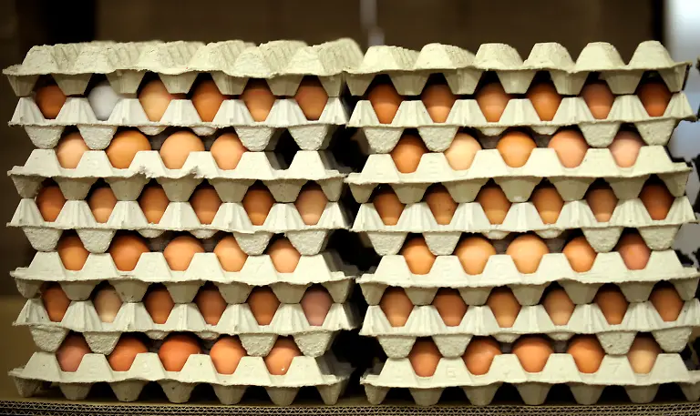 DI10207-20120412-jpg9070030014048404386