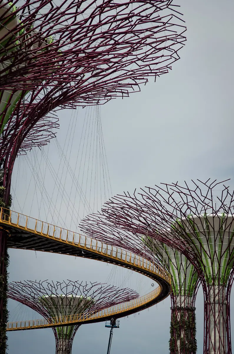 33zm3632-jpg5547215442608964808