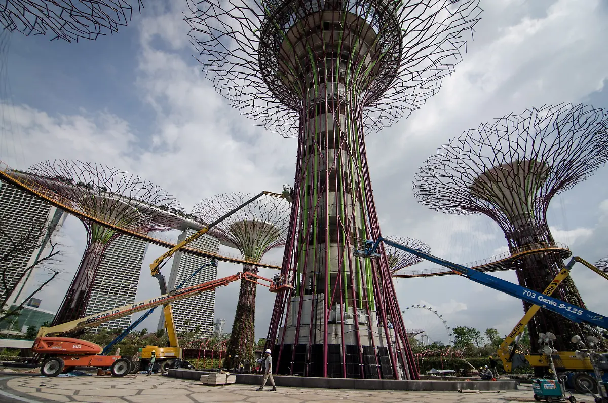 33zm3623-jpg3646533106320357021