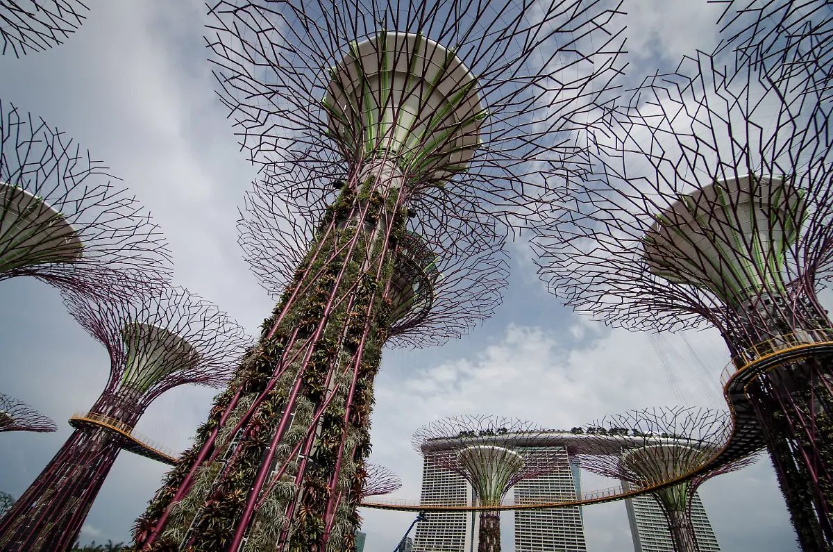 33zm3840-jpg5116035699070743776