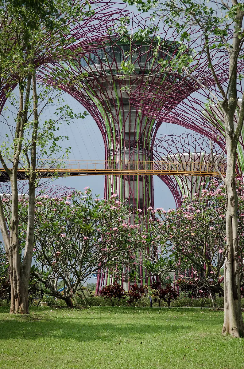 33zm3732-jpg6360575846849805991