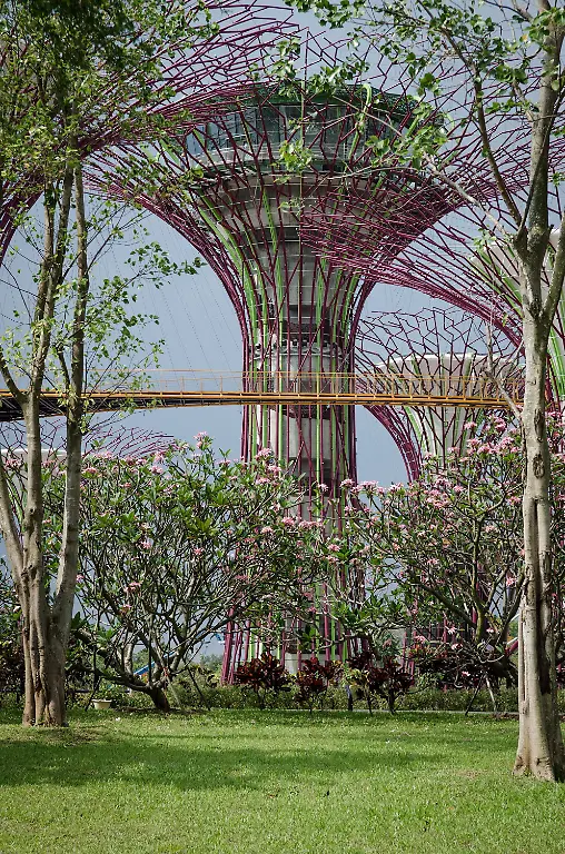 33zm3732-jpg6360575846849805991