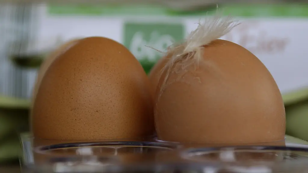 340e2400-jpg2563777948833613155