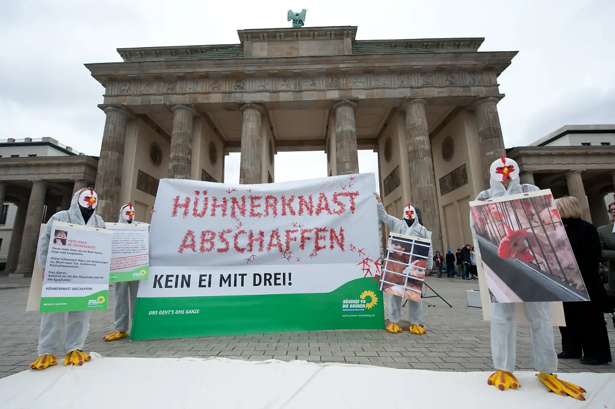 33wd3044-jpg8844156258043253193