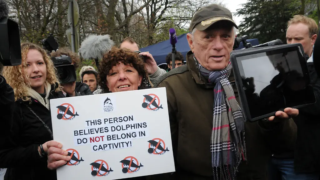 33x43714-jpg7185369887491541880