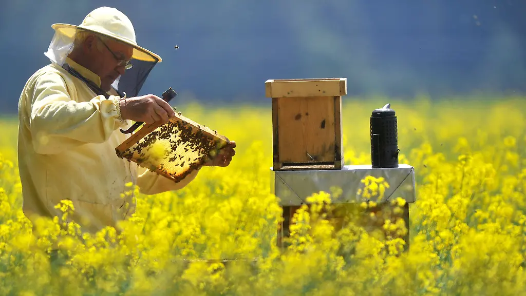 33vo1059-jpg6331563854865247404