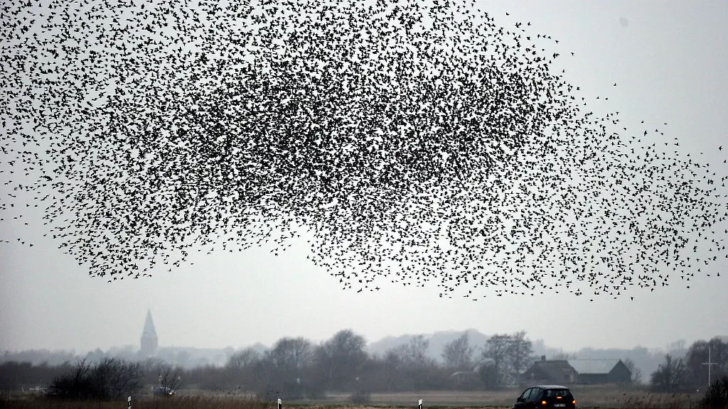 33ut0423-jpg6830229084920751680