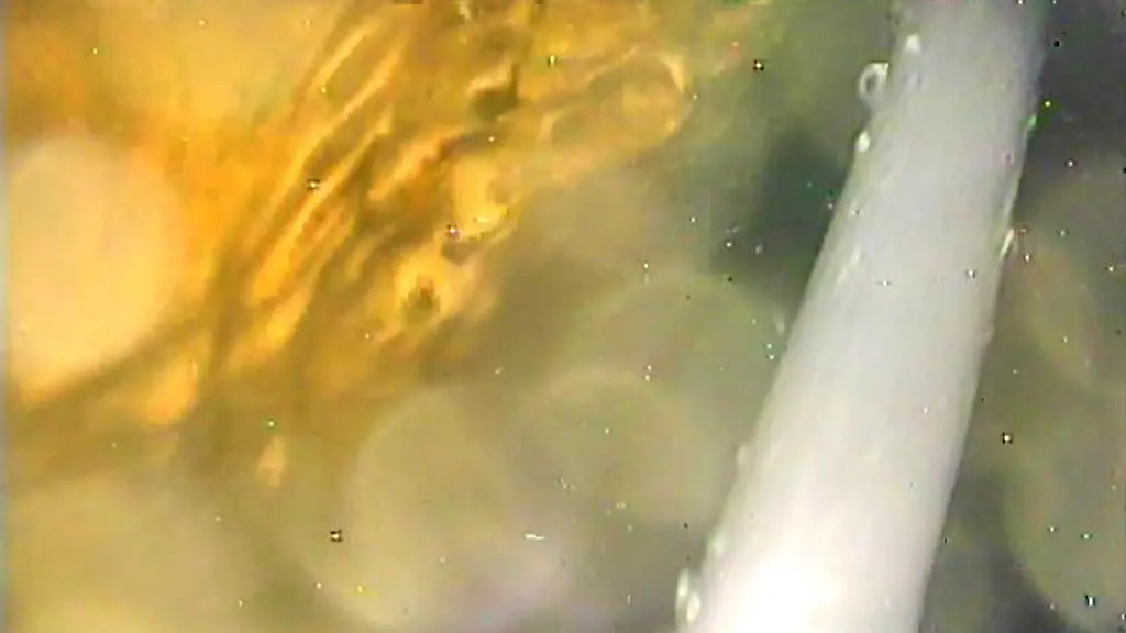 DAB2247-20120326-jpg4280064822040110683