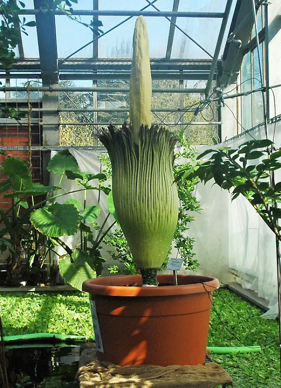 DI10254-20120322-jpg3600711215243044311