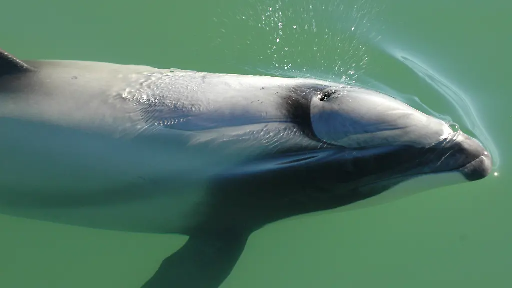 33n03535-jpg5914802896007195483