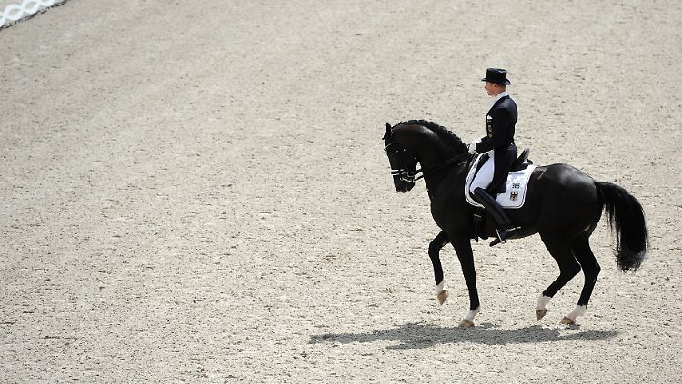 "Es ist nach meiner Kenntnis das teuerste Pferd in den olympischen Disziplinen."