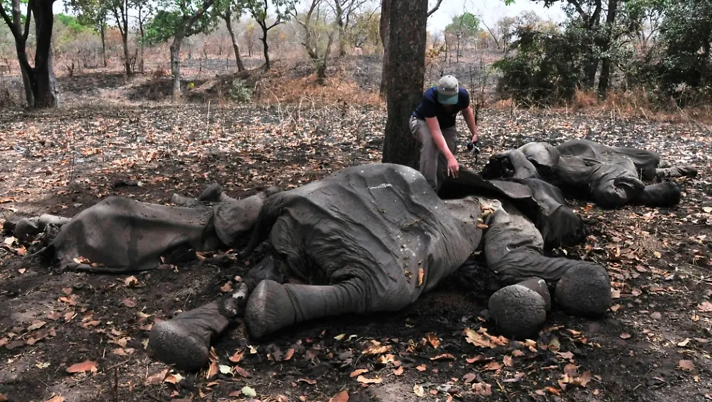 33l33924-jpg1292876408292290837