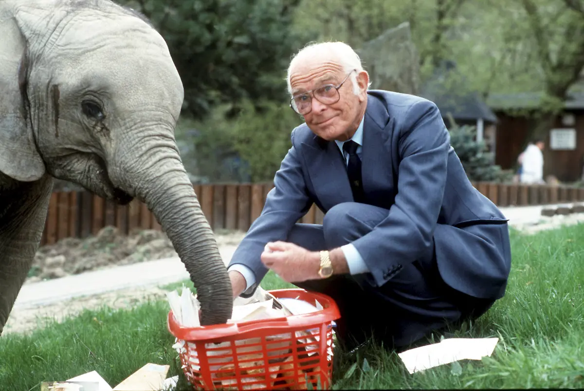 33i50046-jpg3618447300933789870