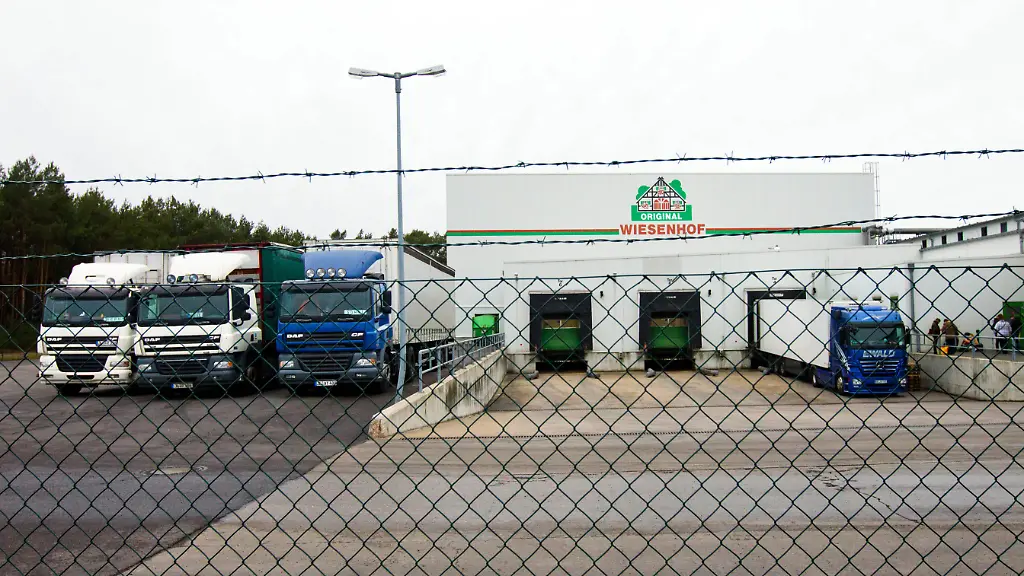 33h40050-jpg4891218105860679306