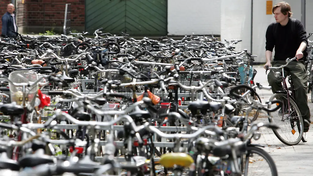 33id3430-jpg6517972064520543430