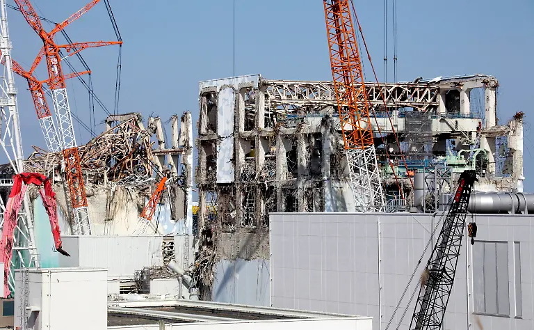 33b24412-jpg8406969493550631878