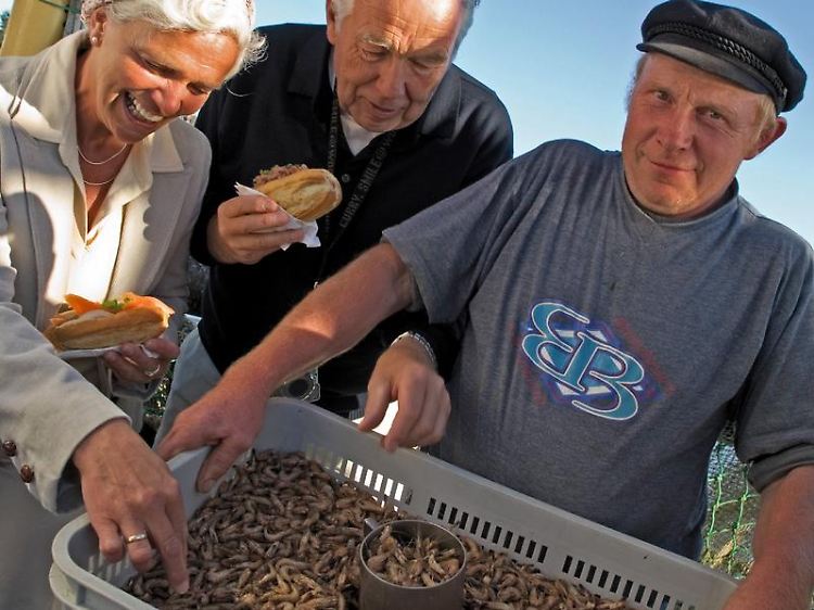 Lecker, aber noch nicht gepult: Garnelen heißen die kleinen Krabben an der Nordseeküste in Schleswig-Holstein.
