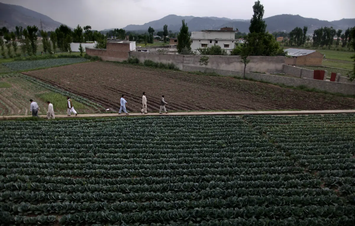 DAB2809-20120225-jpg9025864229654282586