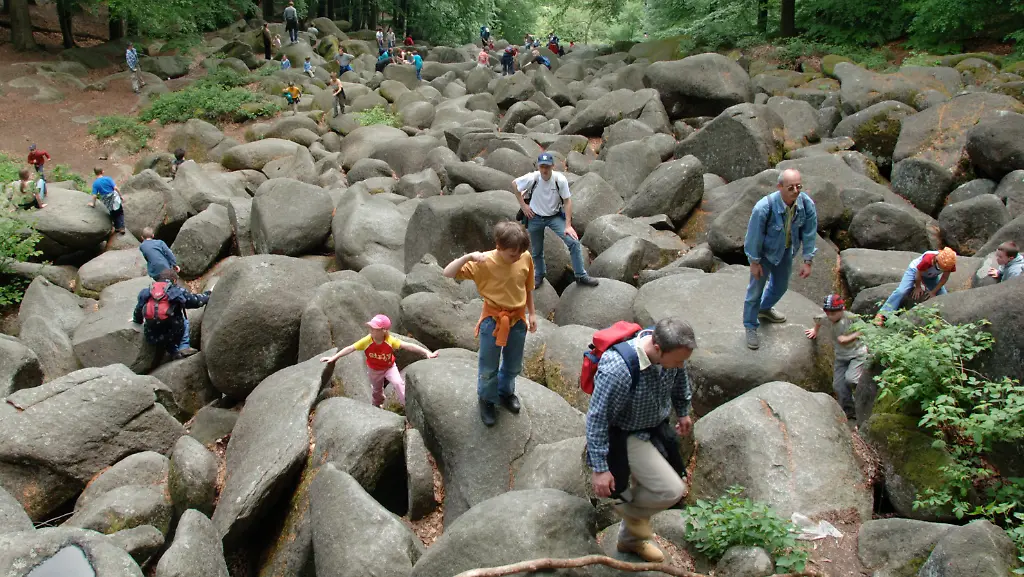 337h0120-jpg3286697446357999746