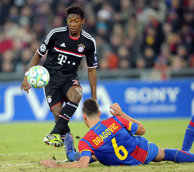 33793720-jpg7531282149273045116