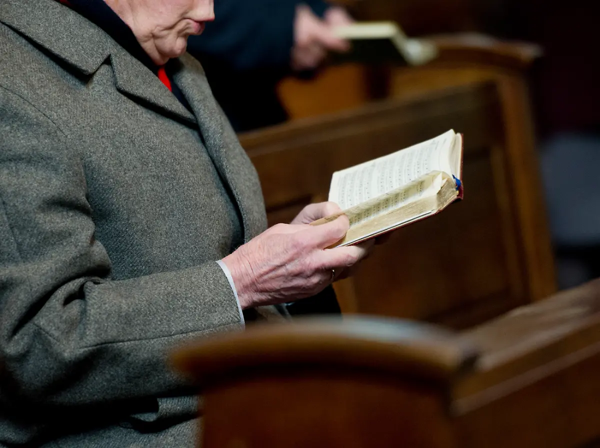 336z5936-jpg4386798397040770005