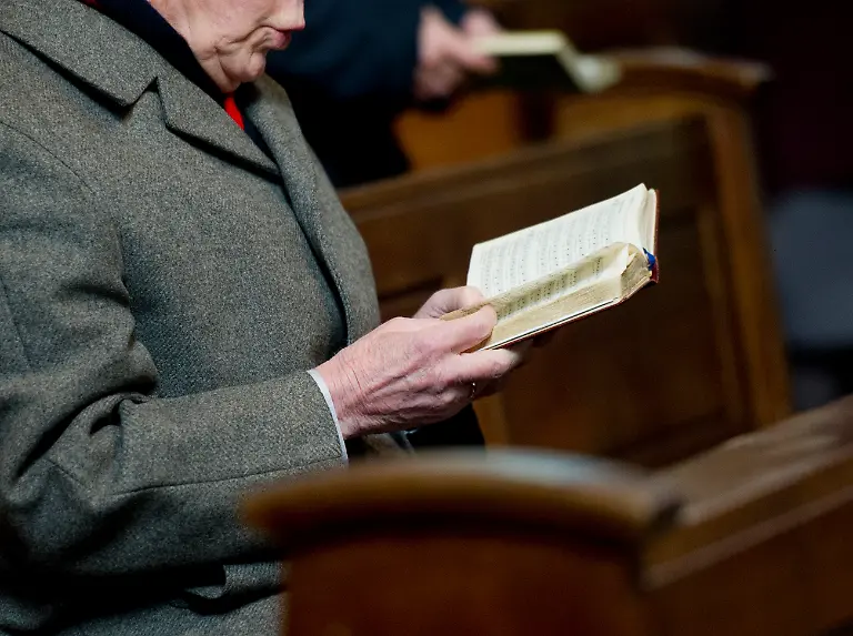 336z5936-jpg4386798397040770005