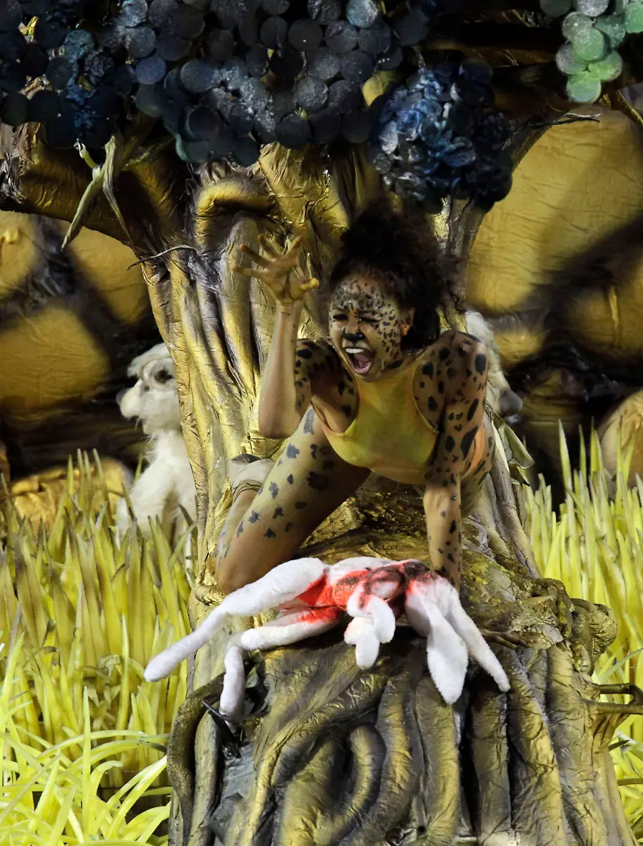 2012-02-20T085402Z-01-RIO570-RTRMDNP-3-BRAZIL-CARNIVAL-JPG1163398346285176293