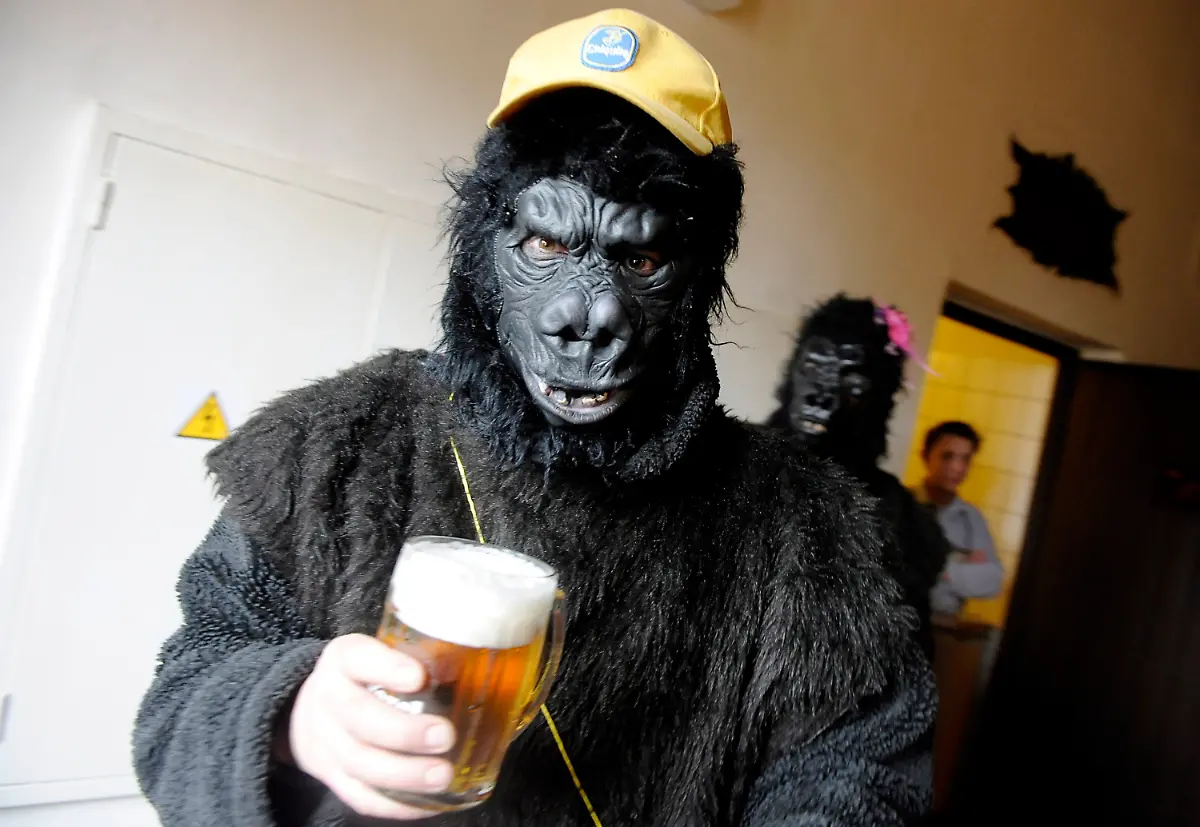 334i0737-jpg644563601629740023