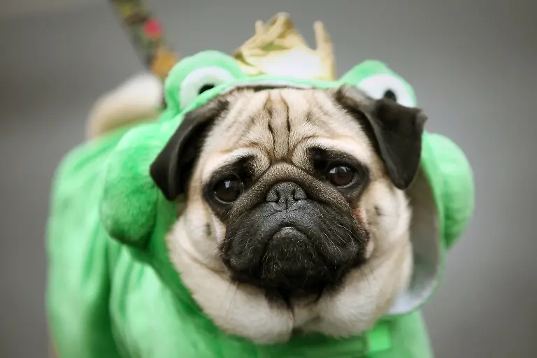 334h0657-jpg5591282597085923188