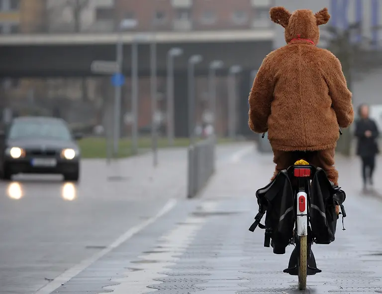 33320239-jpg486072272582834255