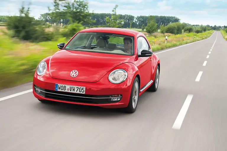 Beetle