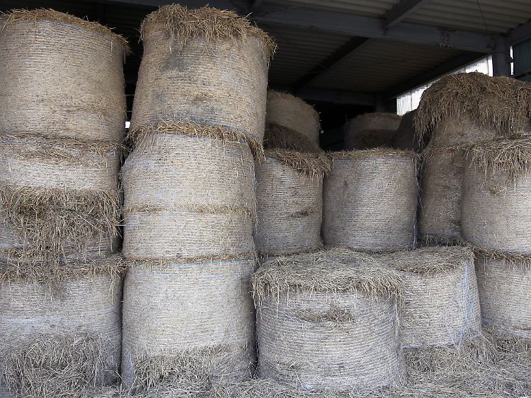 In Fukushima wurde zudem stark belastetes Heu entdeckt.