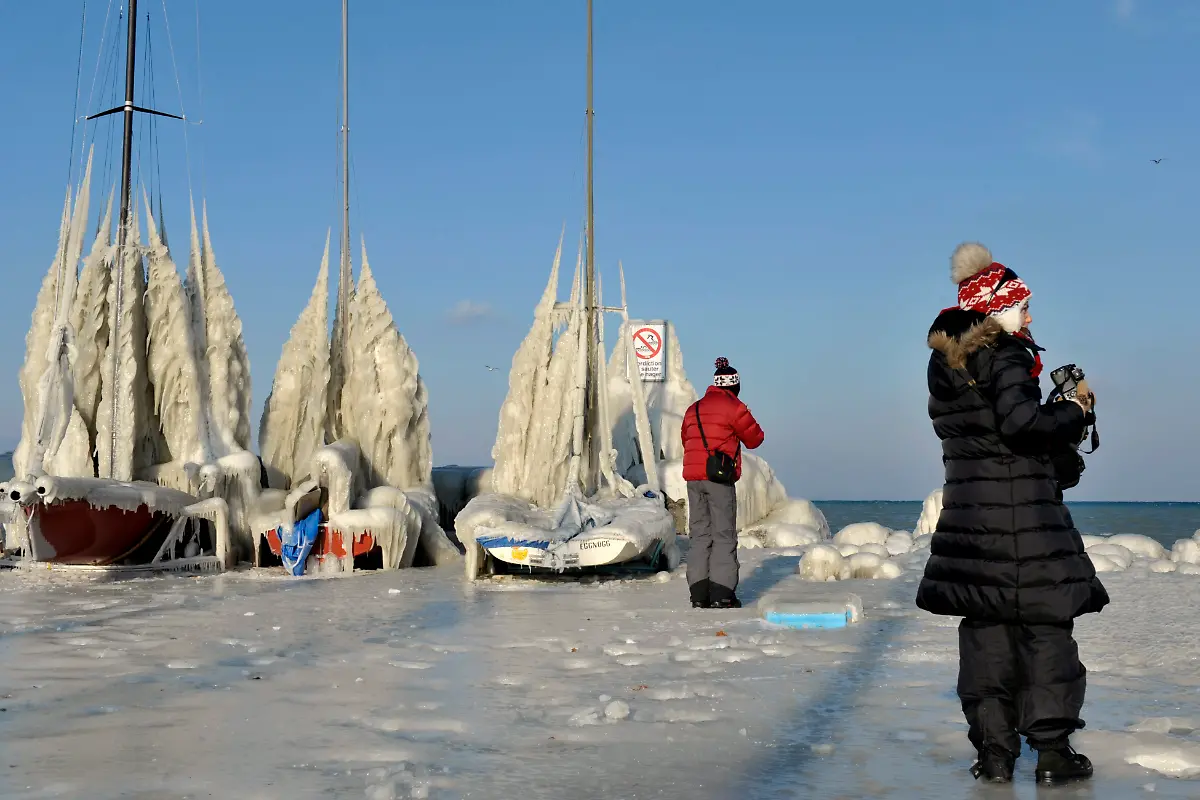 DAB1461-20120206-jpg8616676865943033899