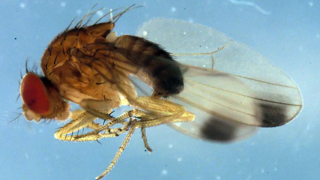 32ug0104-jpg1830964745769614832