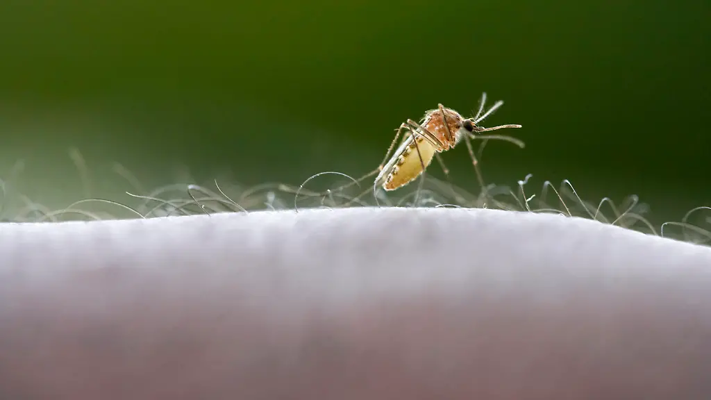 32tp5029-jpg6335271146035619426