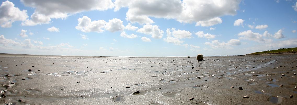 Das Wattenmeer ist das erste Weltnaturerbe Deutschlands.